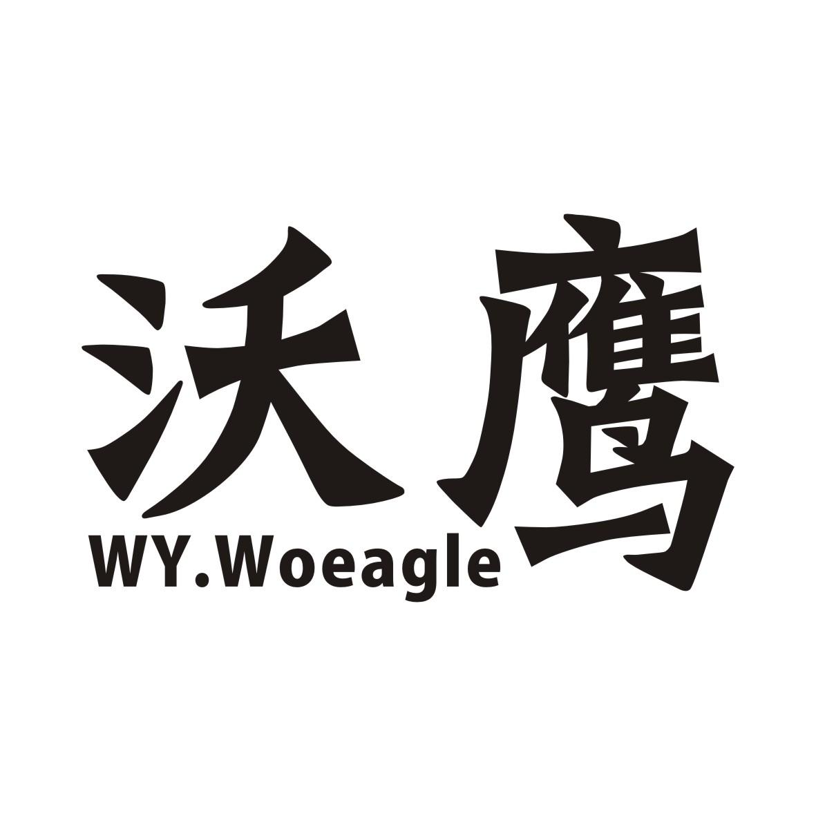 沃鹰 WY.WOEAGLE