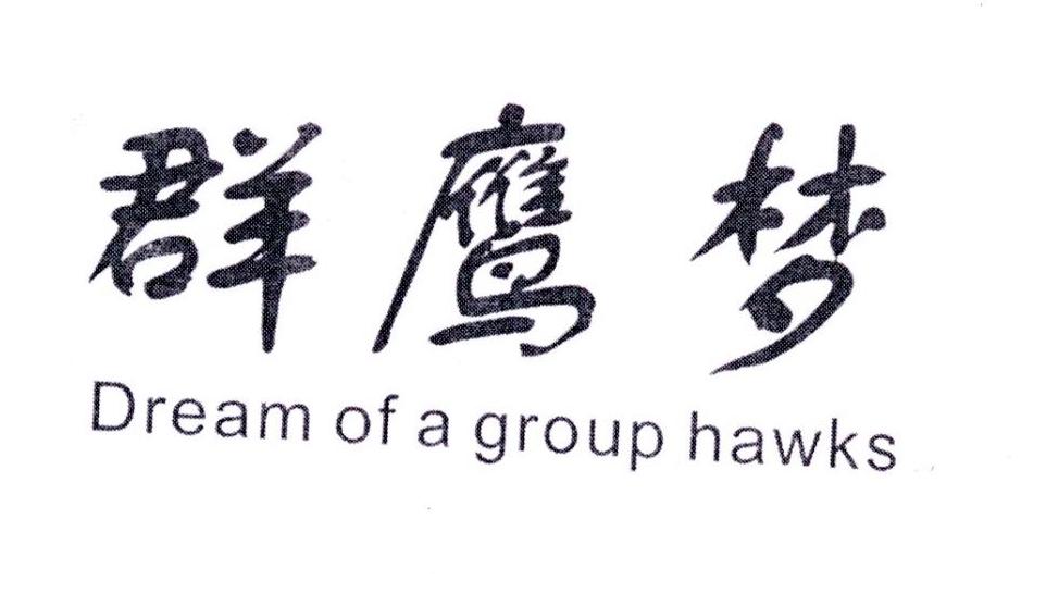 群鹰梦 DREAM OF A GROUP HAWKS