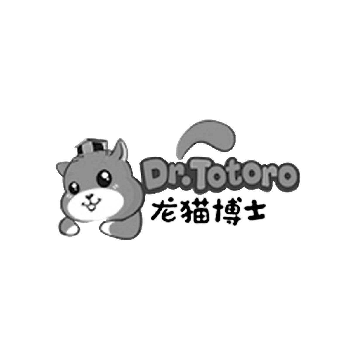 龍貓博士 DR.TOTORO