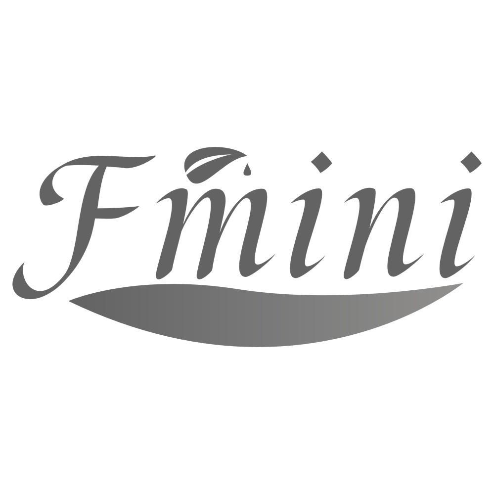 FMINI
