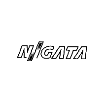 NIIGATA