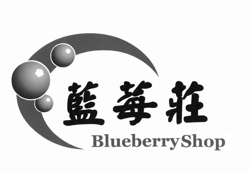 蓝莓庄BLUEBERRYSHOP
