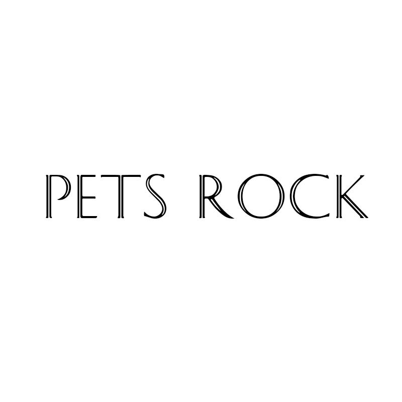 PETS ROCK