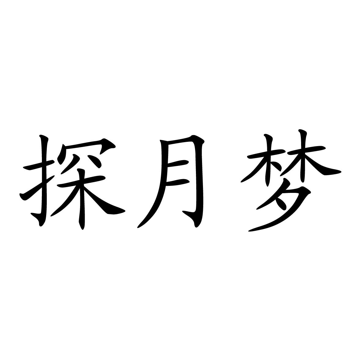 探月梦
