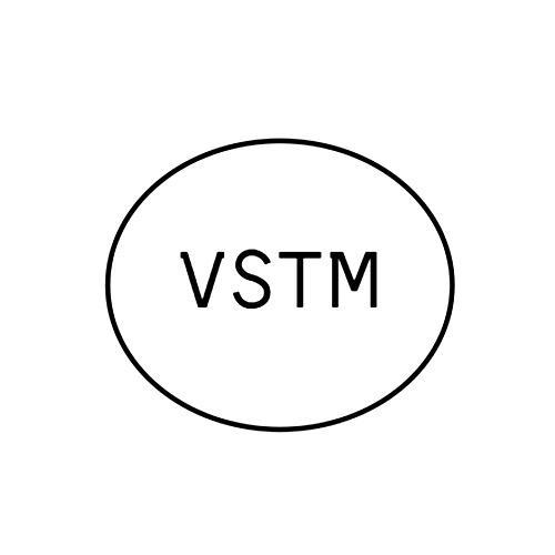 VSTM