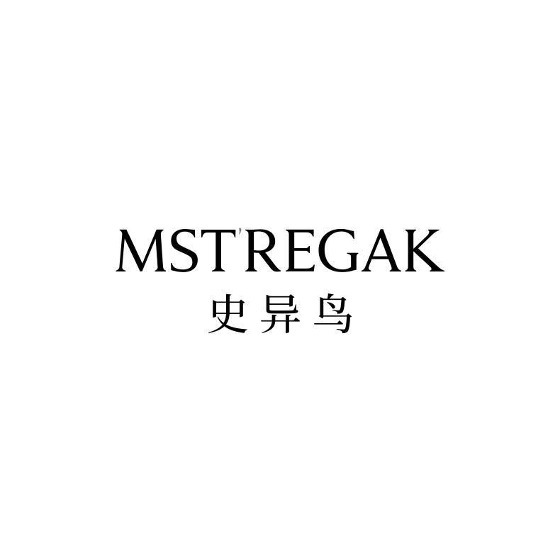MSTREGAK 史异鸟