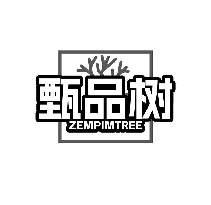 甄品树 ZEMPIMTREE