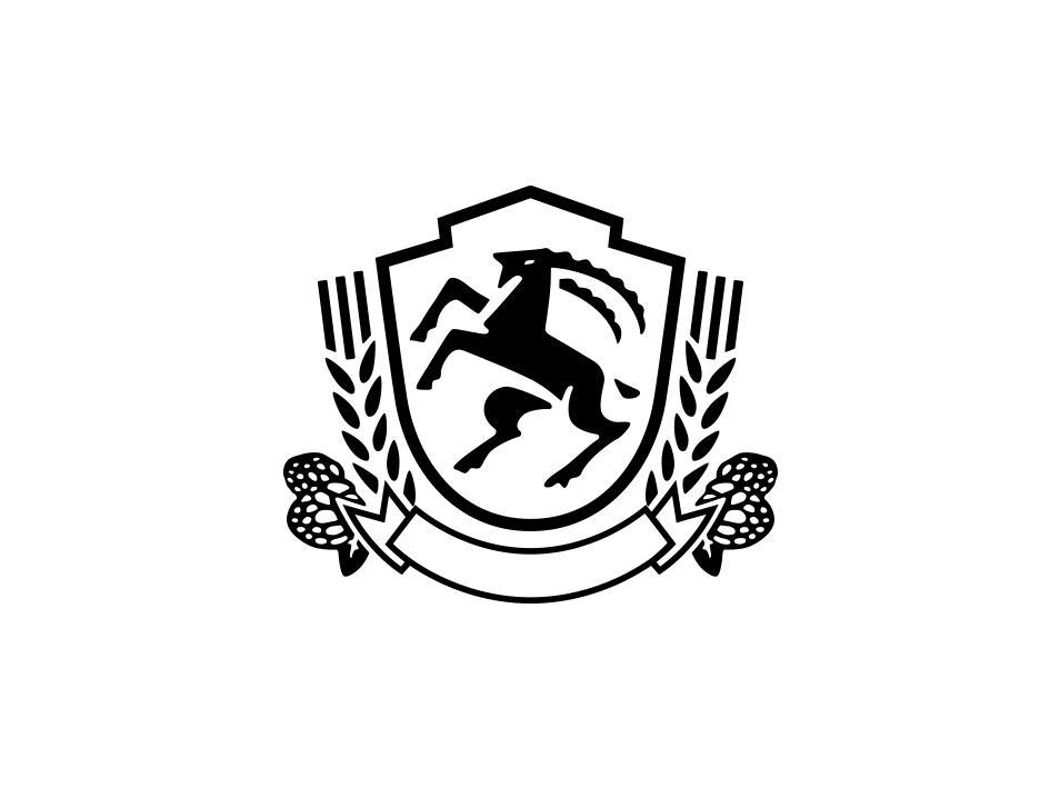 图形