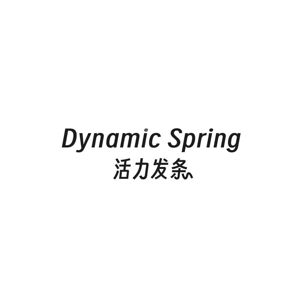 DYNAMIC SPRING 活力发条
