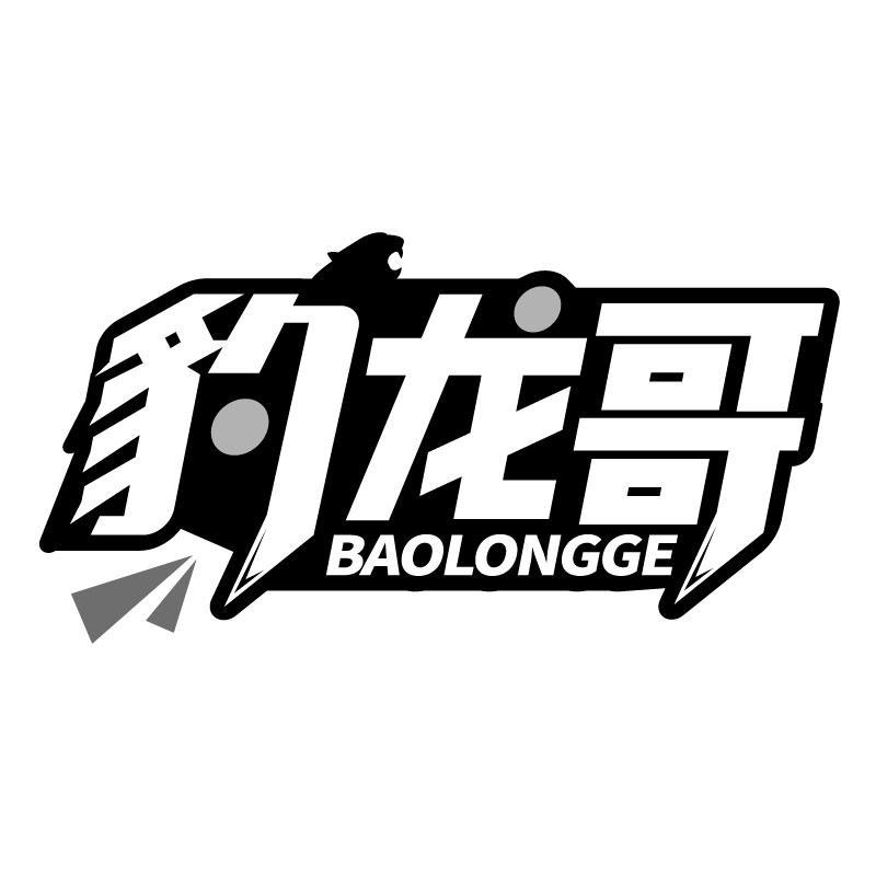豹龙哥