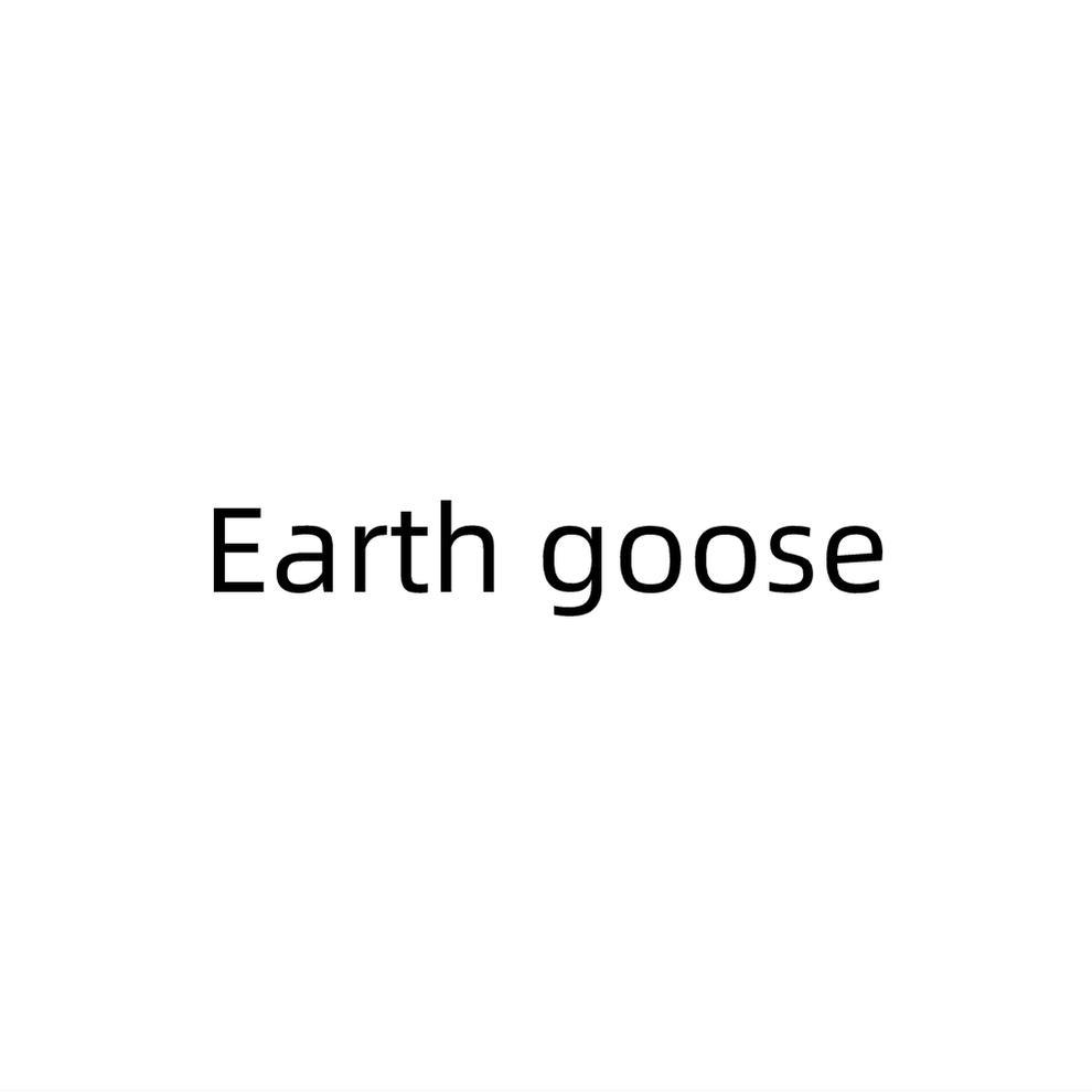 EARTH GOOSE