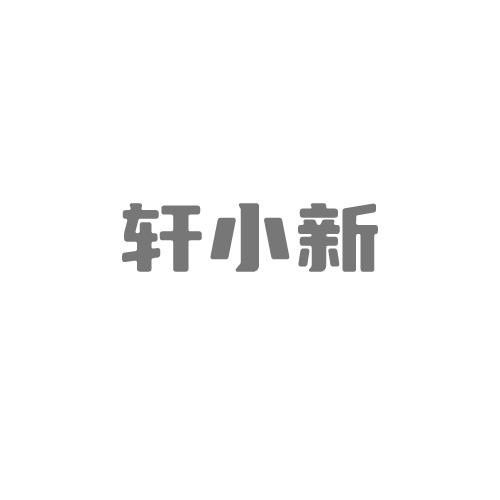 轩小新