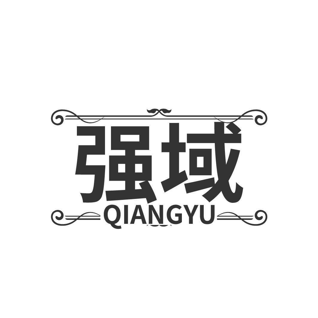 強(qiáng)域