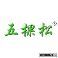 五棵松