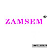 ZAMSEM