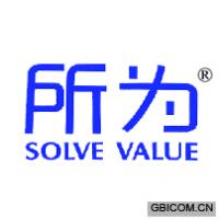 所为 SOLVE VALUE