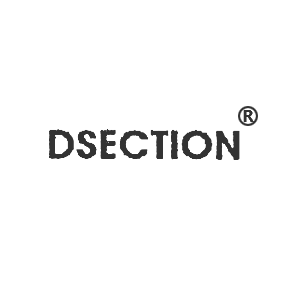 DSECTION
