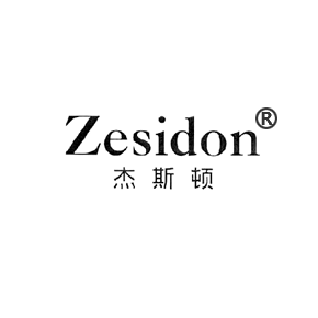 杰斯顿 ZESIDON