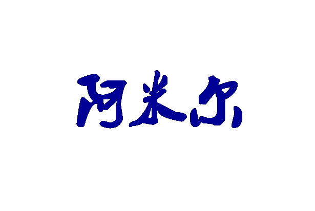 阿米尔