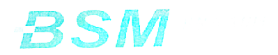 博思明BSM VISION