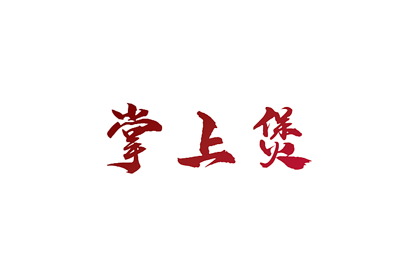 掌上煲