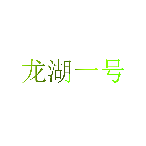 龙湖一号