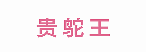 贵鸵王