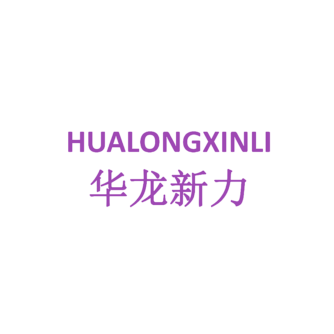 华龙新力