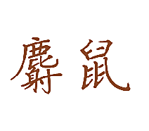麝鼠