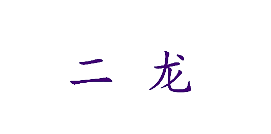 二龙