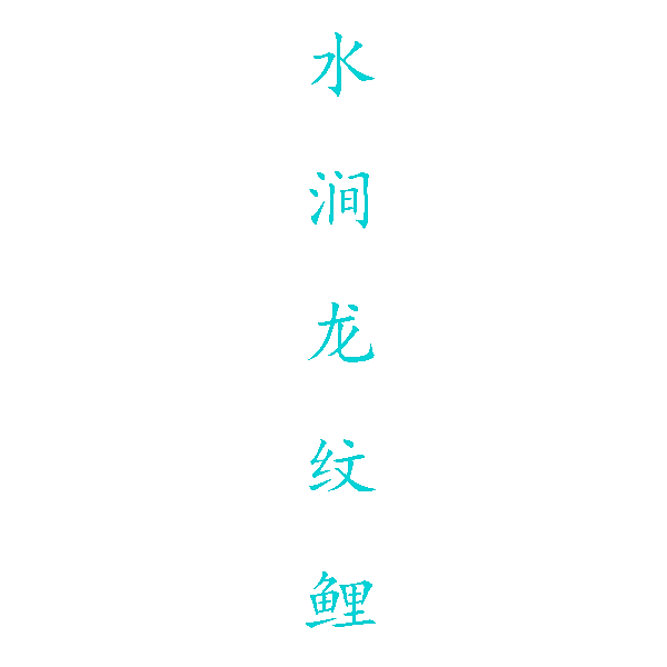 水涧龙纹鲤