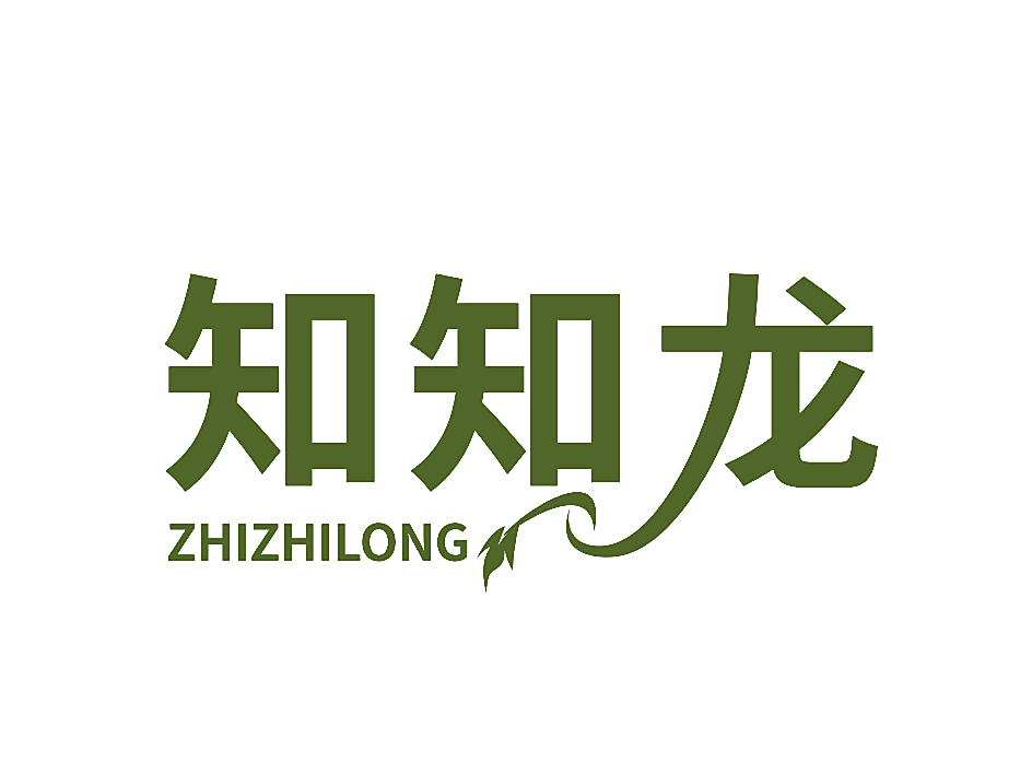 知知龙