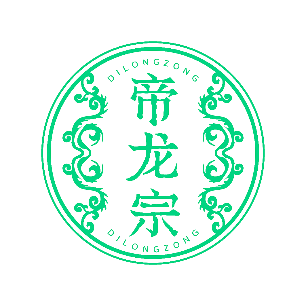 帝龙宗