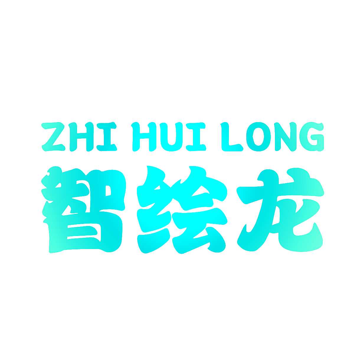 智绘龙