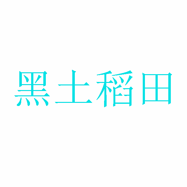 黑土稻田