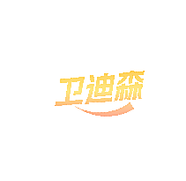卫迪森