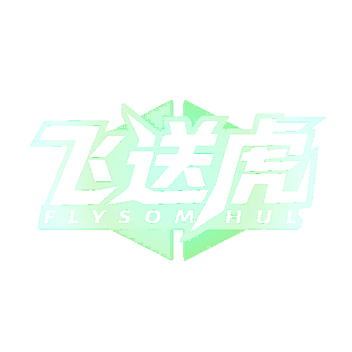 飞送虎 FLYSOMHUL