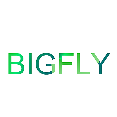 BIGFLY