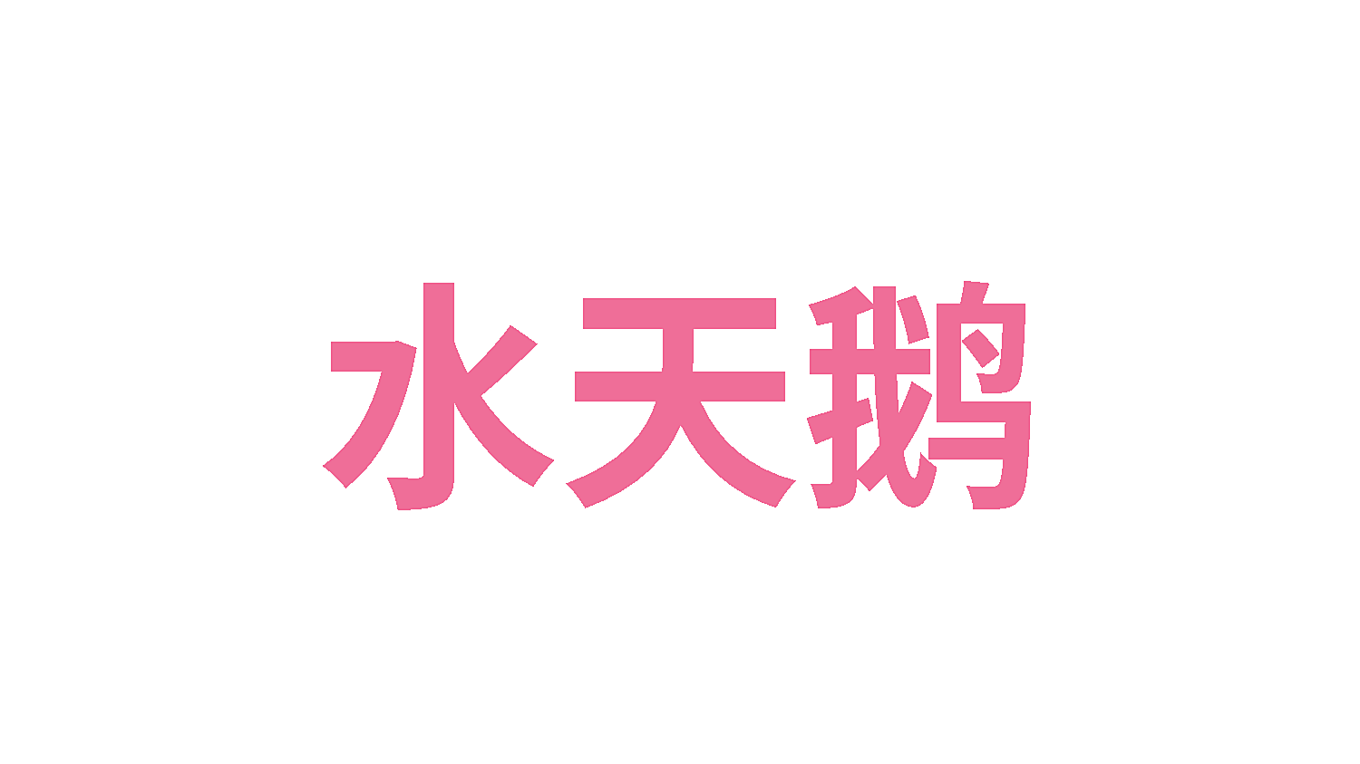 水天鹅