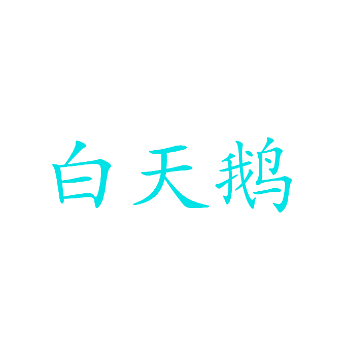白天鹅