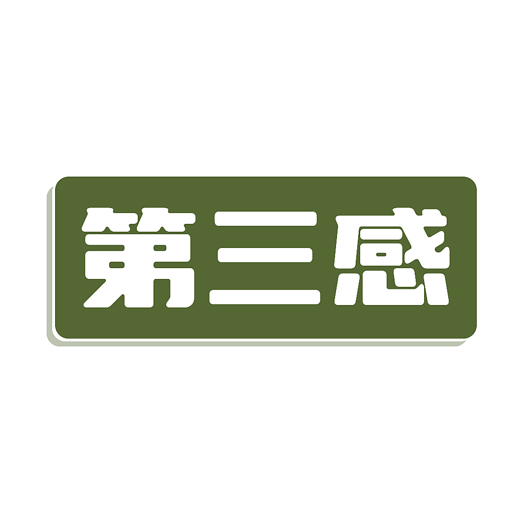 第三感