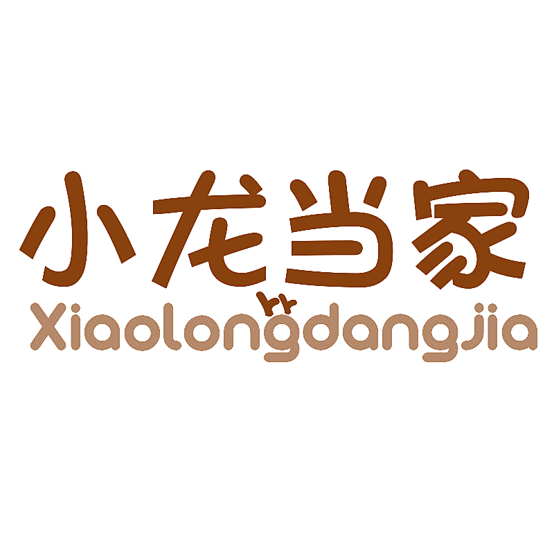 小龙当家