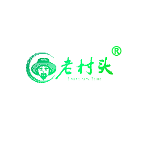 老村头
